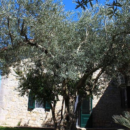 Frigintini Appartamento Le Tre Palme מראה חיצוני תמונה