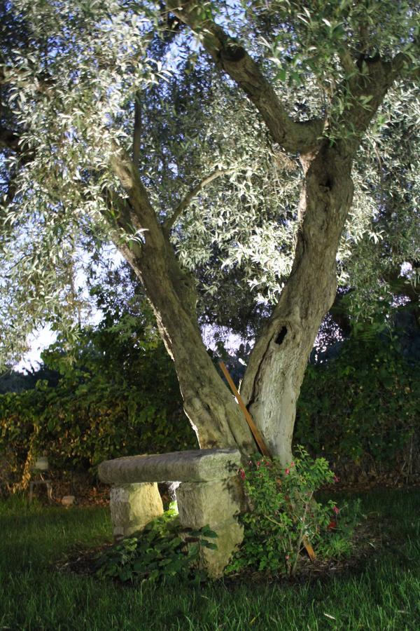 Frigintini Appartamento Le Tre Palme מראה חיצוני תמונה